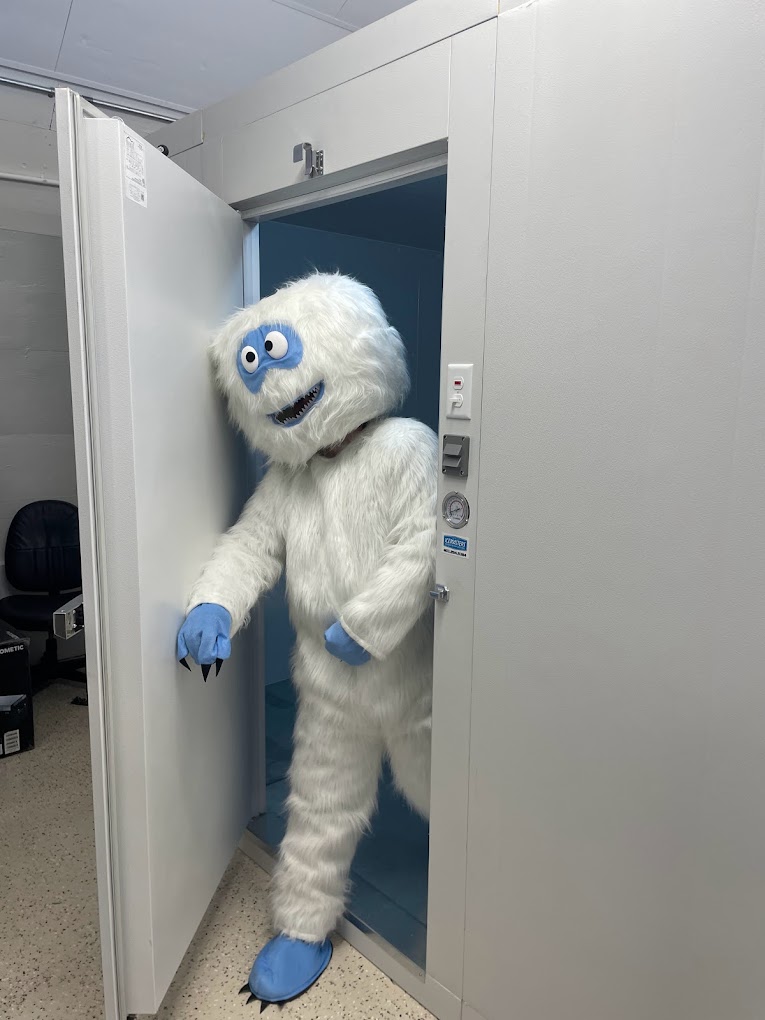 yeti mascot